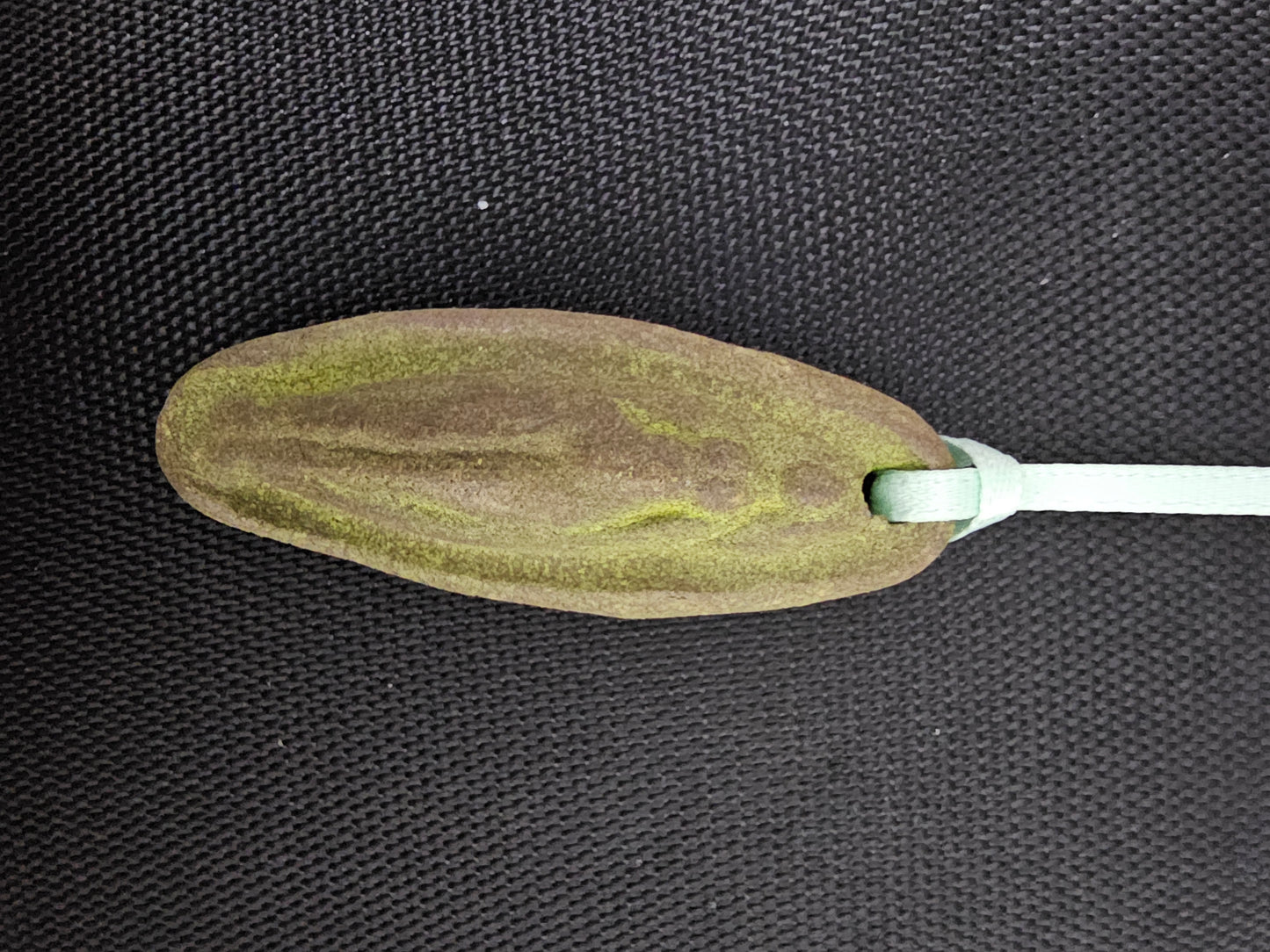 Mysterious Midwifery Medallions