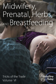 Midwifery, Prenatal, Herbs, and Breastfeeding: Tricks of the Trade, Volume VI (E-book)