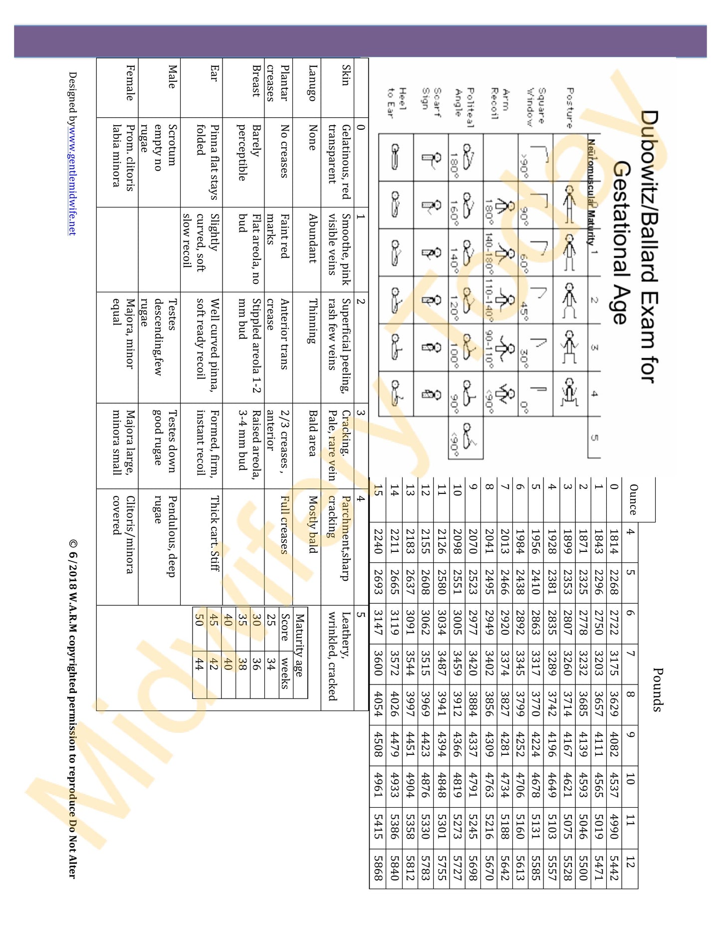 WARM Midwifery Charts Templates - Pre and Postnatal Set (Horizontal)