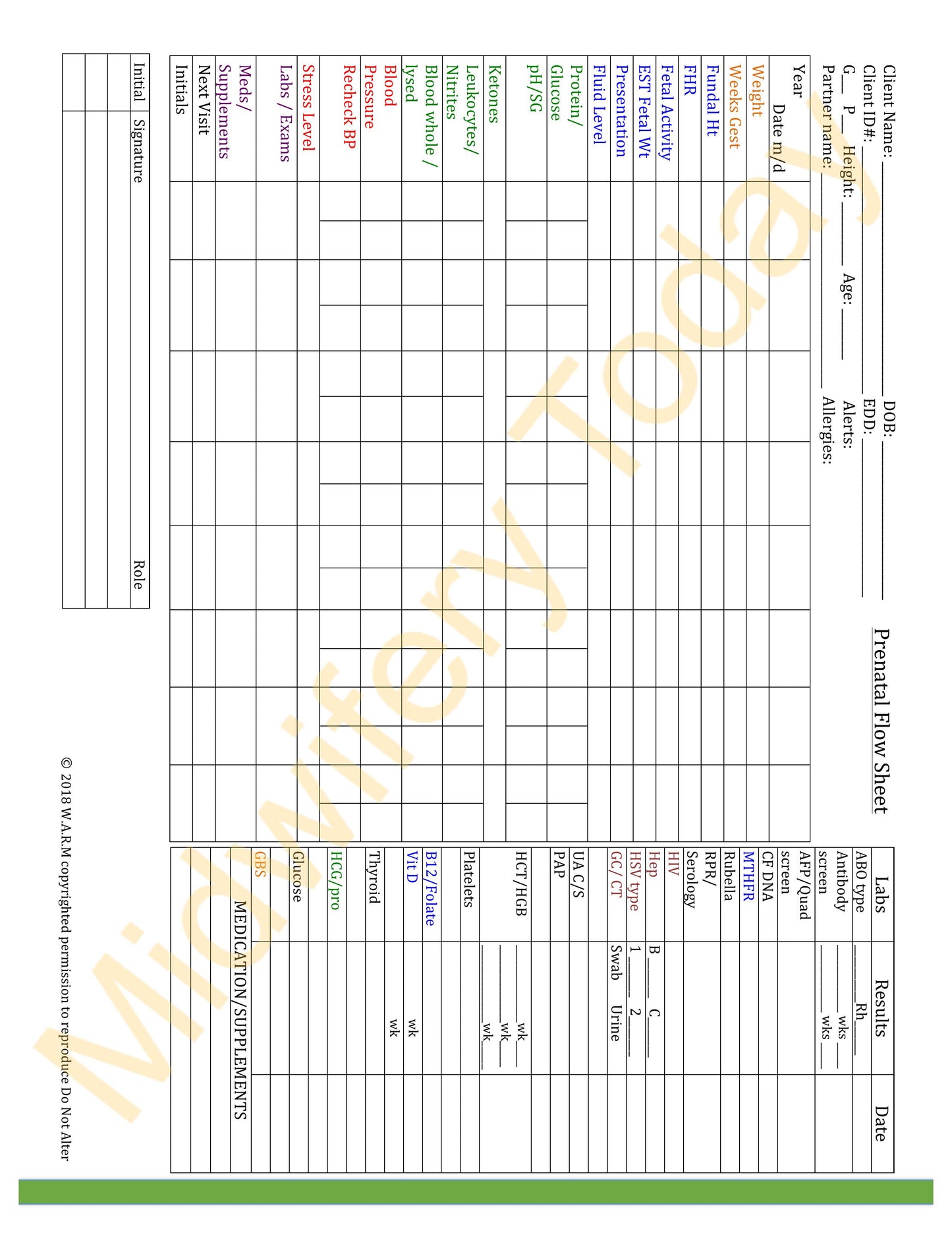 WARM Midwifery Charts Templates - Full Set