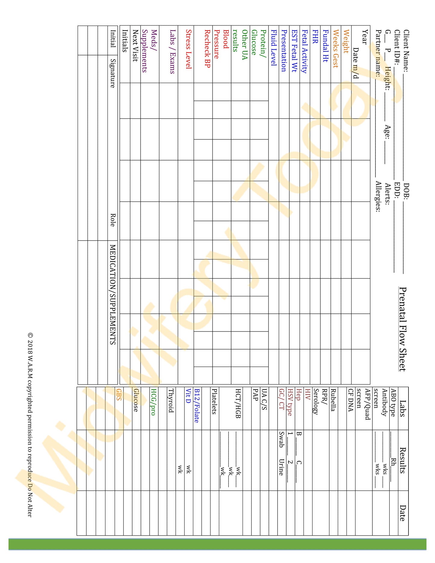 WARM Midwifery Charts Templates - Full Set